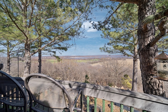 3126 E 490th Rd, Pryor, OK 74361 - view of yard