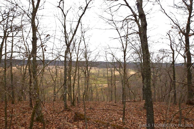 59972 S 4651st Rd, Watts, OK 74964 - photo 20
