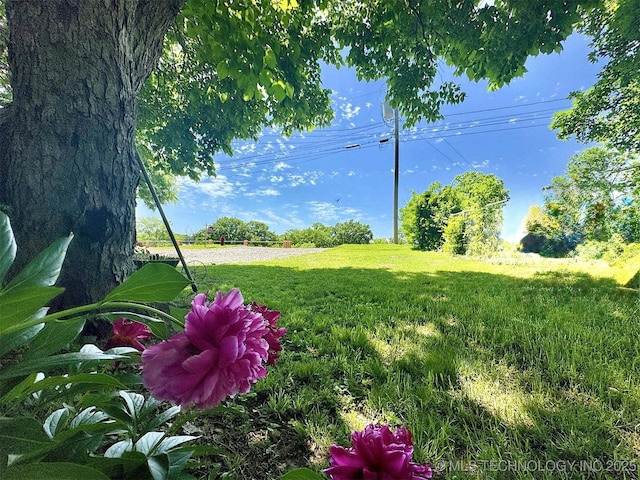 117 S Bluff Ave, Tahlequah, OK 74464 - view of grassy yard