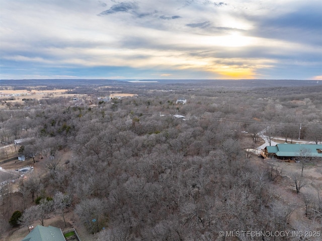 2 Horizon Dr, Skiatook, OK 74070