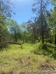 20072 E 407th Pl, Chelsea, OK 74016