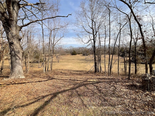 view of local wilderness