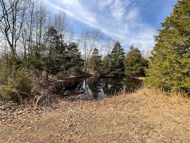 view of landscape with a water view and a view of trees