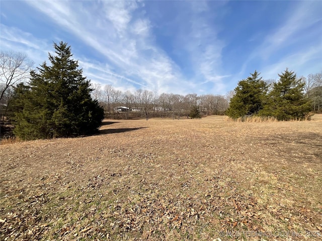 view of local wilderness