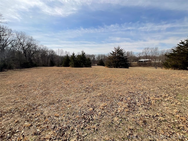 view of nature featuring a rural view