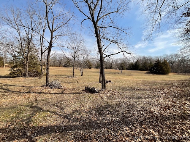 view of local wilderness