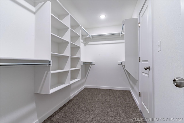 walk in closet with dark carpet