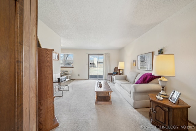 living area featuring a textured ceiling and carpet flooring