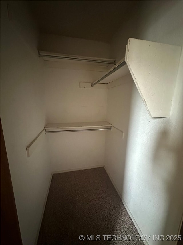 view of walk in closet