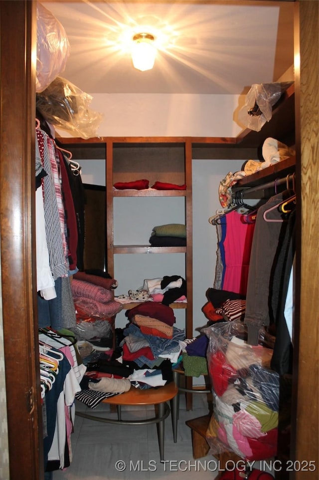 view of spacious closet