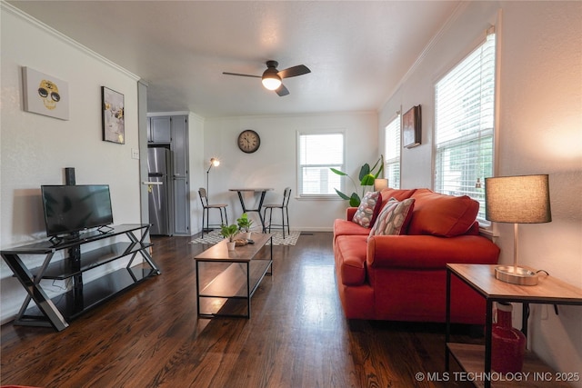 living room featuring ornamental molding, dark wood-type flooring, a ceiling fan, and baseboards