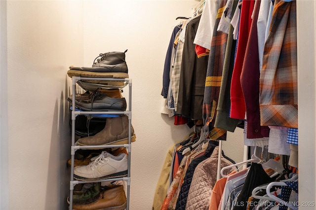 view of walk in closet