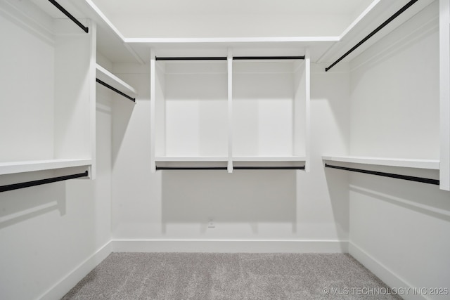 spacious closet with carpet floors