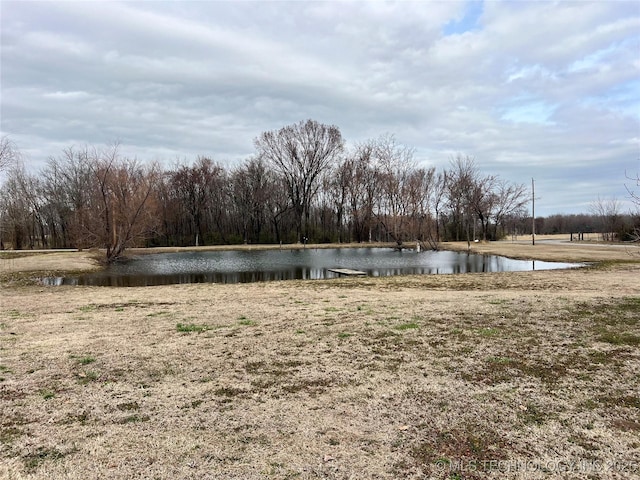 view of yard with a water view