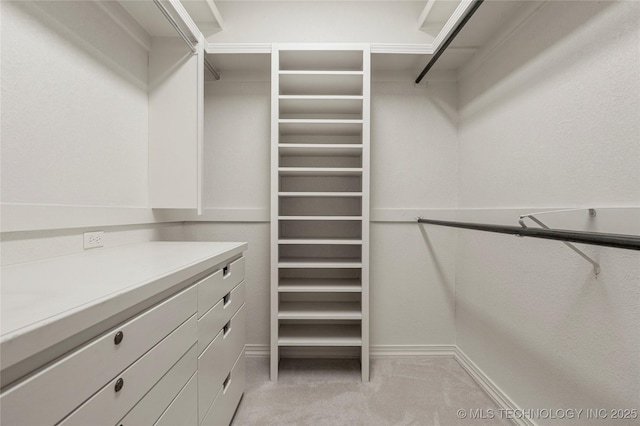 walk in closet with light colored carpet