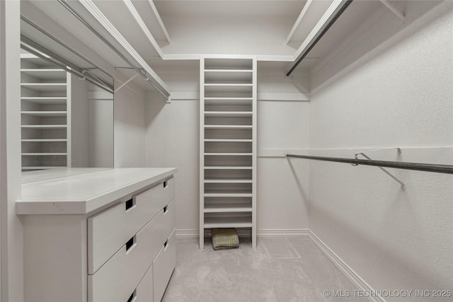 spacious closet featuring light carpet