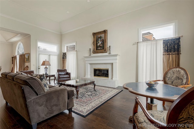 living area featuring a premium fireplace, ornamental molding, and wood-type flooring