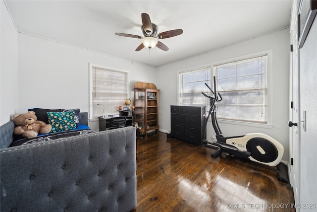 office area featuring wood-type flooring and ceiling fan