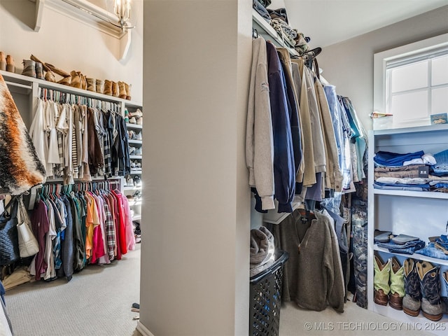 walk in closet with carpet floors