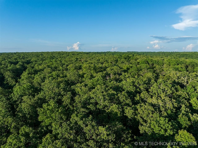 15 W 691st Rd, Hulbert, OK 74441 - photo 47