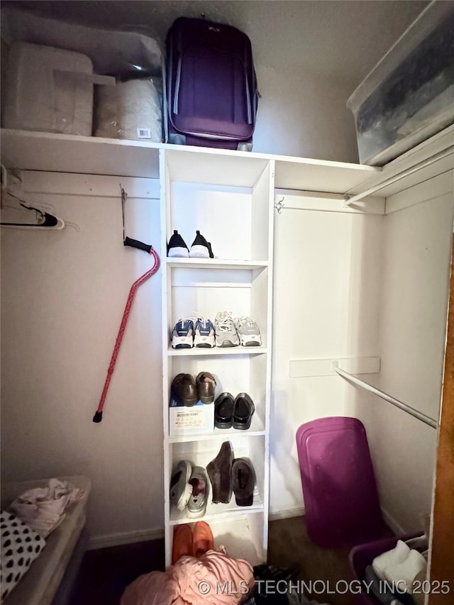 view of spacious closet