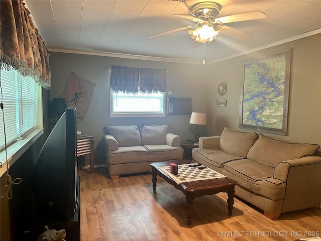 living room featuring ceiling fan, light wood-type flooring, and crown molding