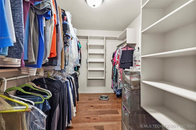 spacious closet with wood finished floors