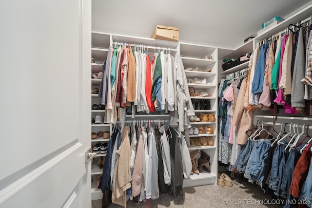 walk in closet featuring carpet flooring