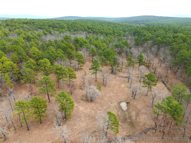 birds eye view of property featuring a forest view and a mountain view