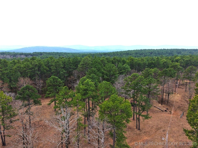 birds eye view of property with a mountain view and a wooded view