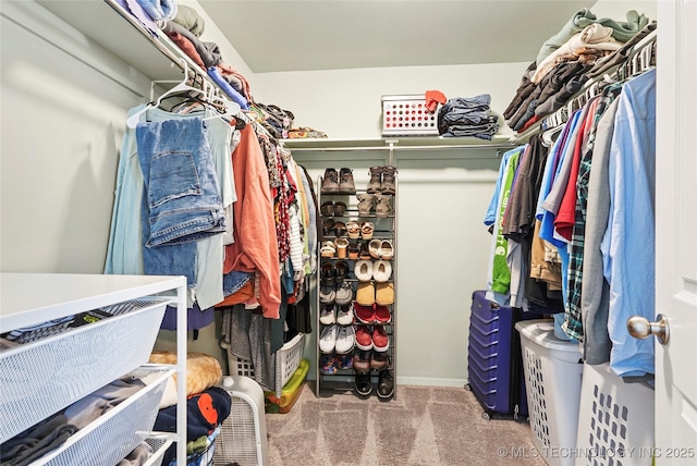 walk in closet featuring carpet flooring