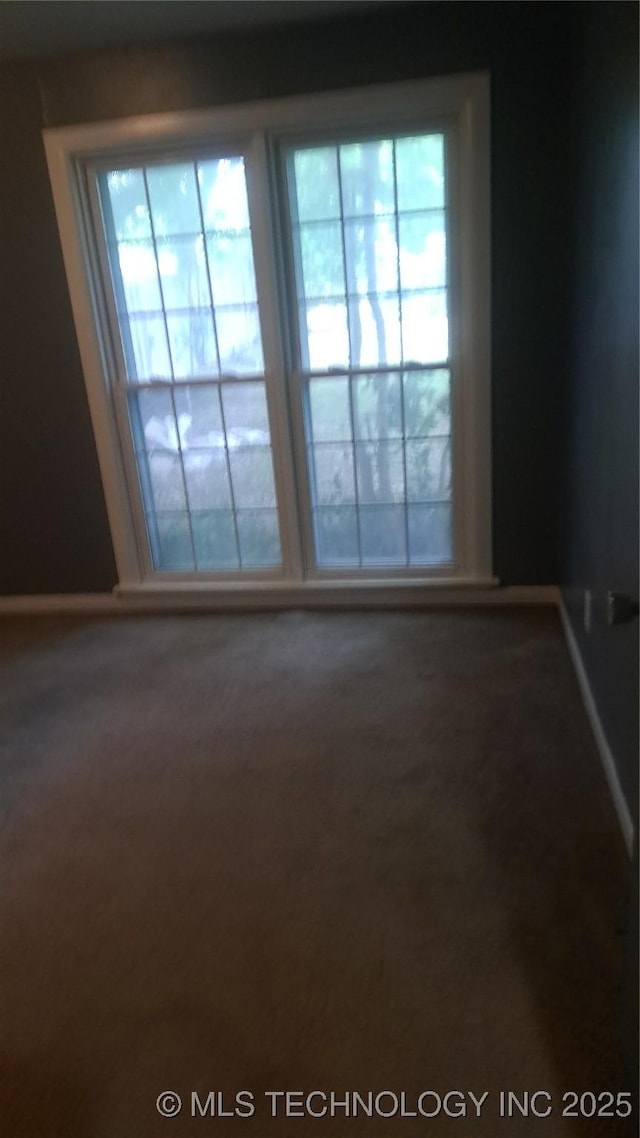 empty room featuring carpet floors