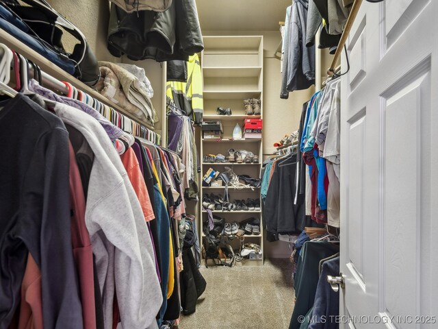 spacious closet featuring carpet floors