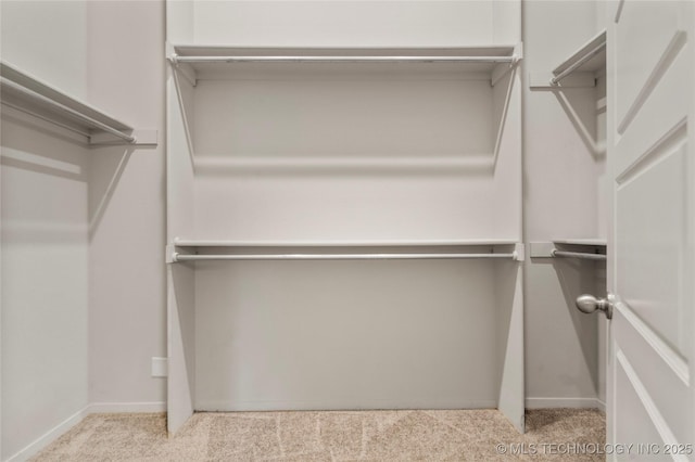 spacious closet with carpet floors