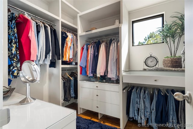 spacious closet with dark wood-style flooring