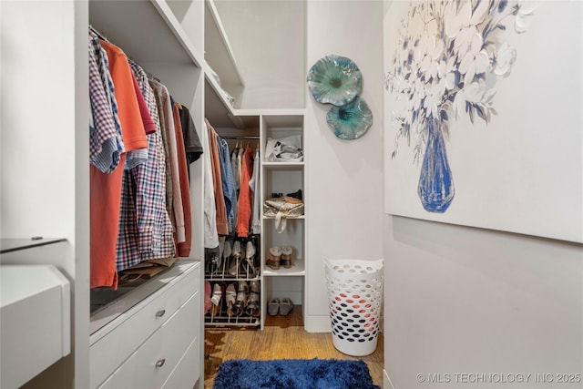 walk in closet featuring wood finished floors