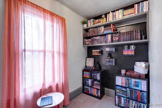 interior space featuring carpet floors, a wealth of natural light, and baseboards