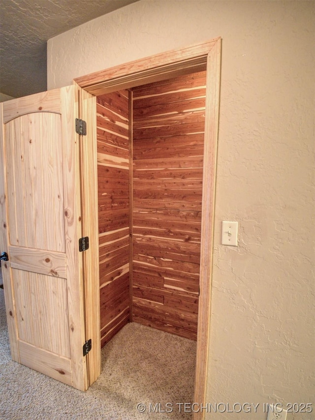 details with a textured wall and carpet flooring