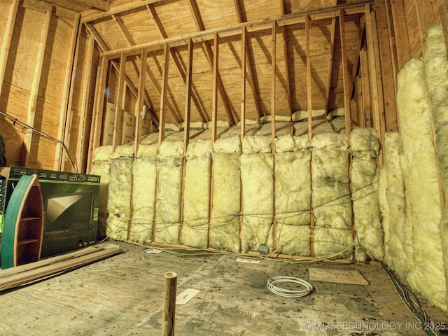 miscellaneous room featuring vaulted ceiling