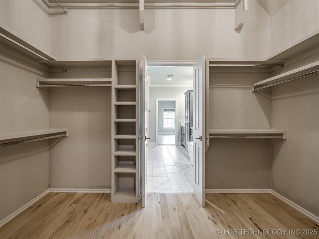 spacious closet featuring wood finished floors