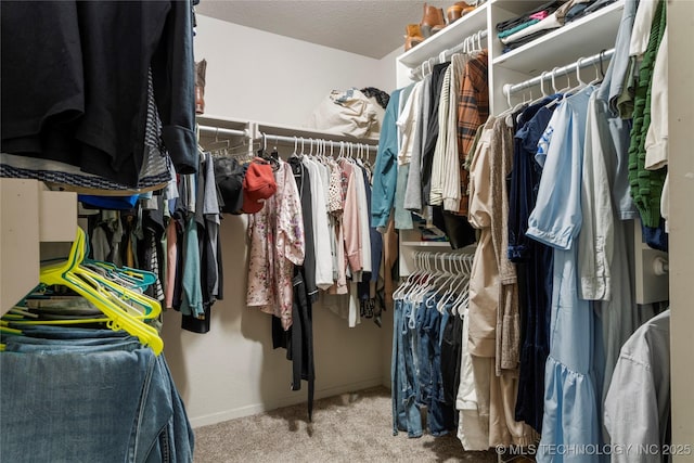 walk in closet with carpet floors