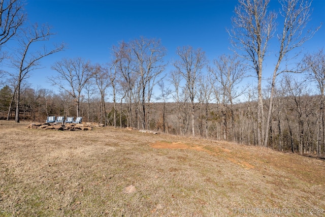 view of yard featuring a view of trees