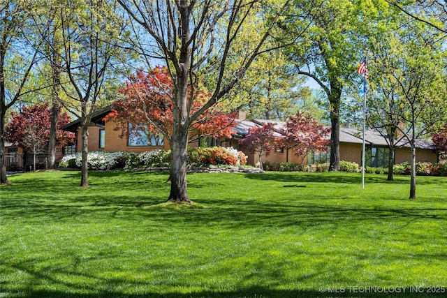 view of yard