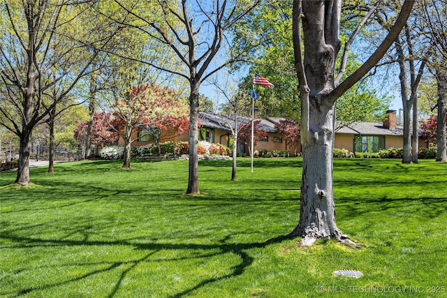 view of yard