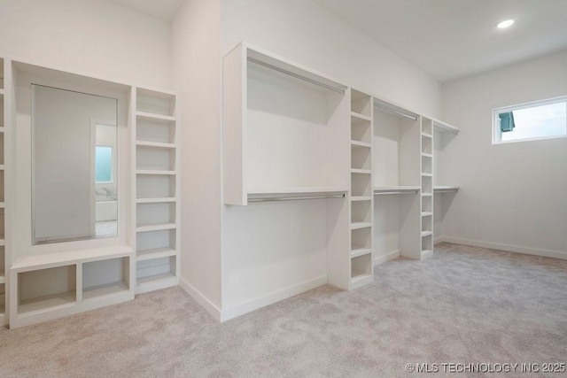 spacious closet featuring carpet flooring