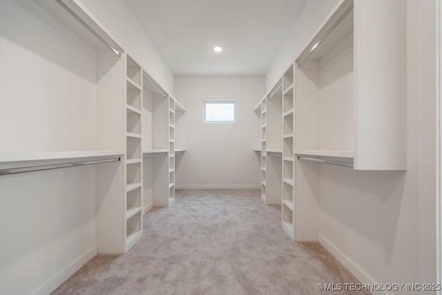 spacious closet featuring carpet