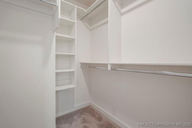 walk in closet featuring carpet