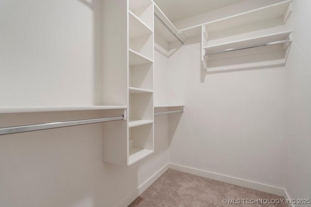 spacious closet with carpet floors