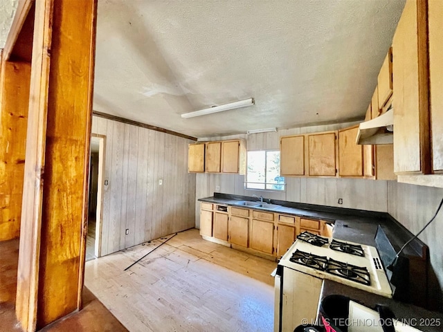 kitchen with under cabinet range hood, wood walls, light wood-type flooring, white gas range, and dark countertops