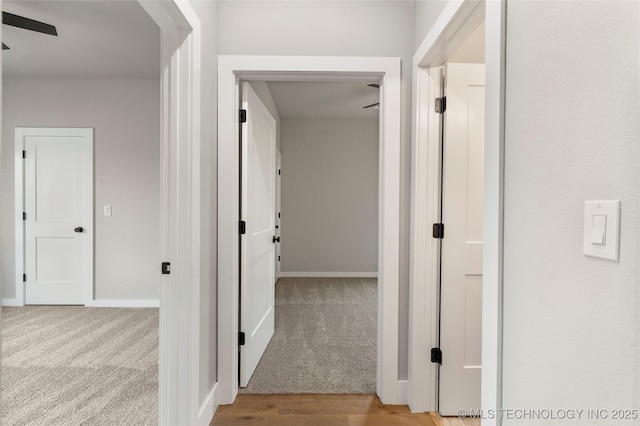 hallway with baseboards and carpet